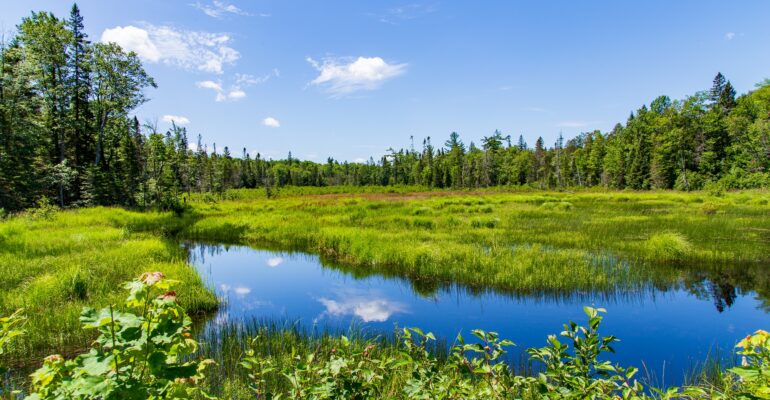 Michigan's Upper Peninsula
