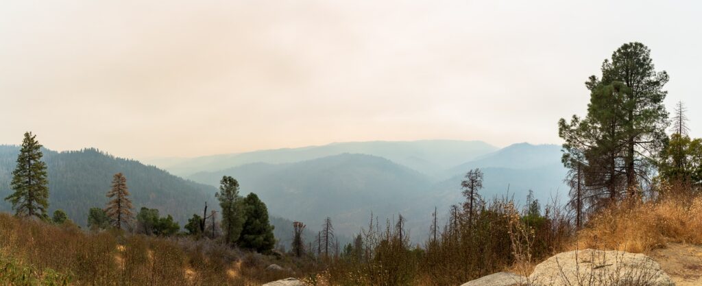 The smoke was very bad on my last day in the park